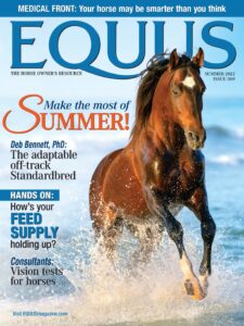 Equus – Summer 2022