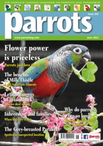 Parrots – June 2022