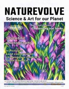 NatureVolve – Issue 11, 2022
