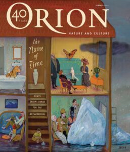 Orion – Summer 2022