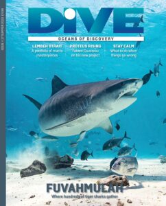 Dive Magazine – Summer 2022