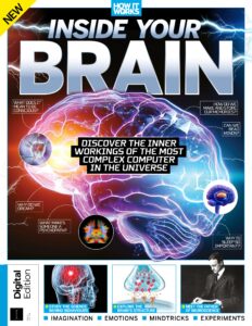 How It Works Inside Your Brain – 3rd Edition, 2022