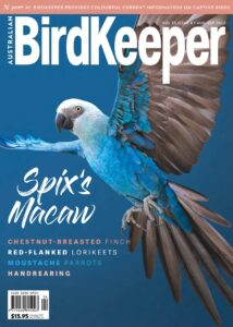 Australian Birdkeeper – Volume 35 Issue 4 – August-Septembe…