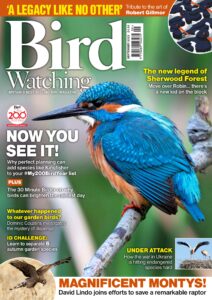 Bird Watching UK – September 2022
