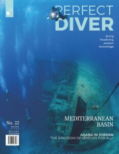 Perfect Diver – July-August 2022
