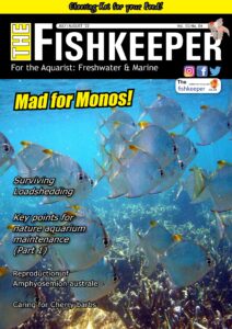 The Fishkeeper – July-August 2022