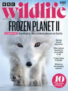 BBC Wildlife – October 2022