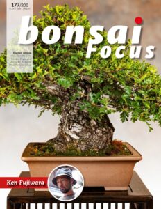 Bonsai Focus (English Edition) – July-August 2022