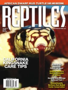 Reptiles – September-October 2022