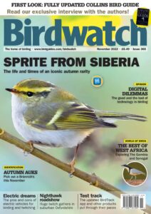 Birdwatch UK – Issue 365 – November 2022