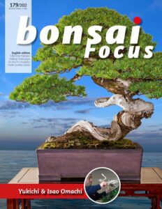 Bonsai Focus (English Edition) – November-December 2022