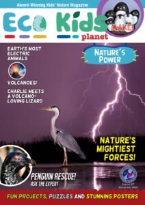 Eco Kids Planet Magazine – November 2022