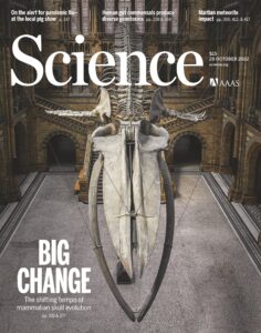 Science – 28 October 2022
