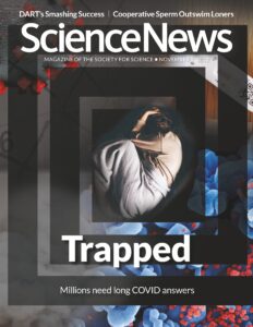 Science News – 5 November 2022