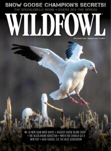 Wildfowl – December 2022 – January 2023