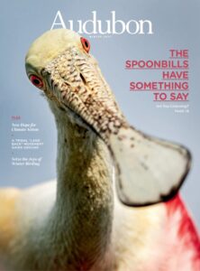Audubon Magazine – Winter 2022