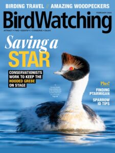 BirdWatching USA – February 2023