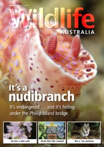 Wildlife Australia – Summer 2022