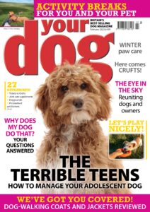 Your Dog – February 2023