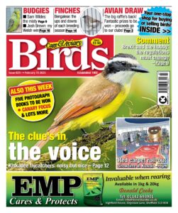 Cage & Aviary Birds – Issue 6251, February 15, 2023