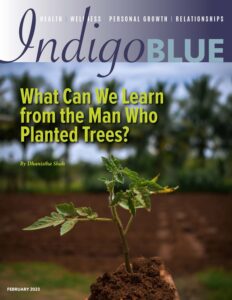 IndigoBlue Magazine   February 2023 232x300 