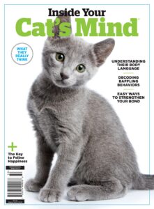 Inside Your Cat’s Mind – February 2023