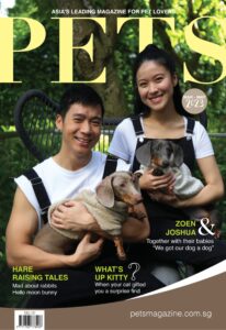Pets Singapore – March-May 2023