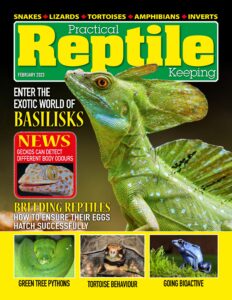Practical Reptile Keeping – February 2023