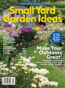 Small Yard Garden Ideas – 2023