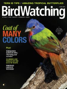 BirdWatching USA – May-June 2023