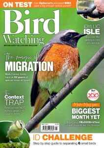 Bird Watching UK – May 2023