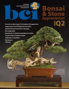 BCI Bonsai & Stone Appreciation Magazine – 01 May 2023