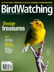 BirdWatching USA – July-August 2023