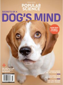 Popular Science Secrets of a Dog’s Mind – 2023
