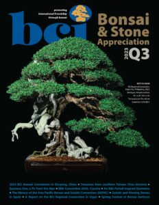 BCI Bonsai & Stone Appreciation Magazine – Q3 2023