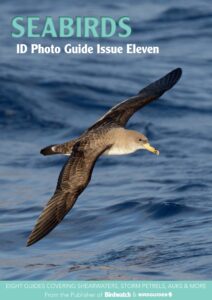 Bird ID Photo Guide – Seabirds, Issue 11, 2023