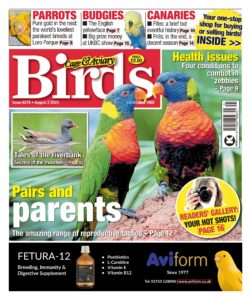 Cage & Aviary Birds – Issue 6275, August 2, 2023