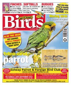 Cage & Aviary Birds – Issue 6277, August 16, 2023