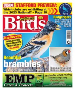 Cage & Aviary Birds – Issue 6278, August 23, 2023