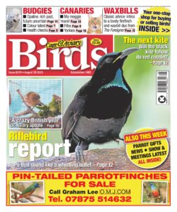 Cage & Aviary Birds – Issue 6279, August 30, 2023