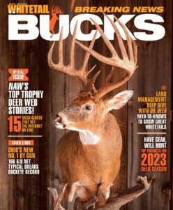 North American Whitetail – September 2023