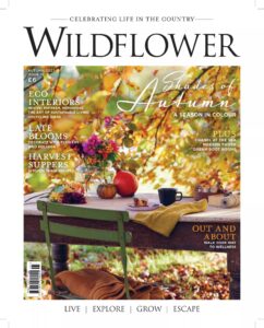 Wildflower Magazine – Autumn 2023