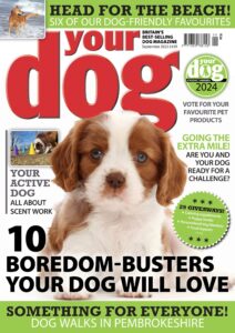 Your Dog Magazine – September 2023