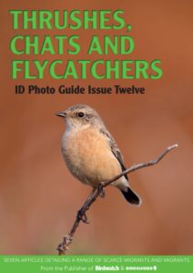 Bird ID Photo Guides – Thrushes, Chats and Flycatchers, 2023