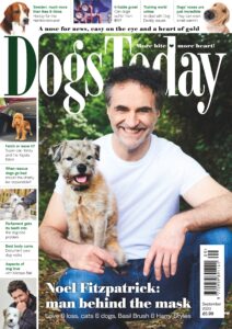 Dogs Today UK – September 2023