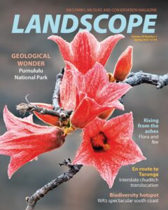 LANDSCOPE Magazine – Volume 39, Number 1, 2023