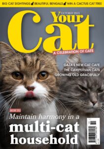 Your Cat - October 2023 - Free Magazine PDF Download