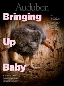 Audubon Magazine – Fall 2023
