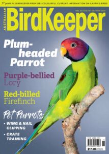 Australian Birdkeeper – Volume 36 Issue 11 – October-Novemb…