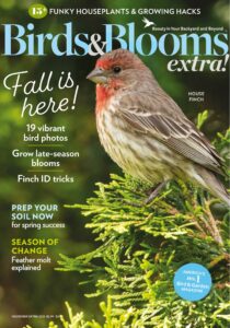 Birds and Blooms Extra – November 2023